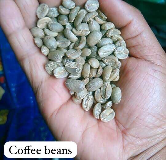 Green Coffee Beans — Washed Arabica Grade 1