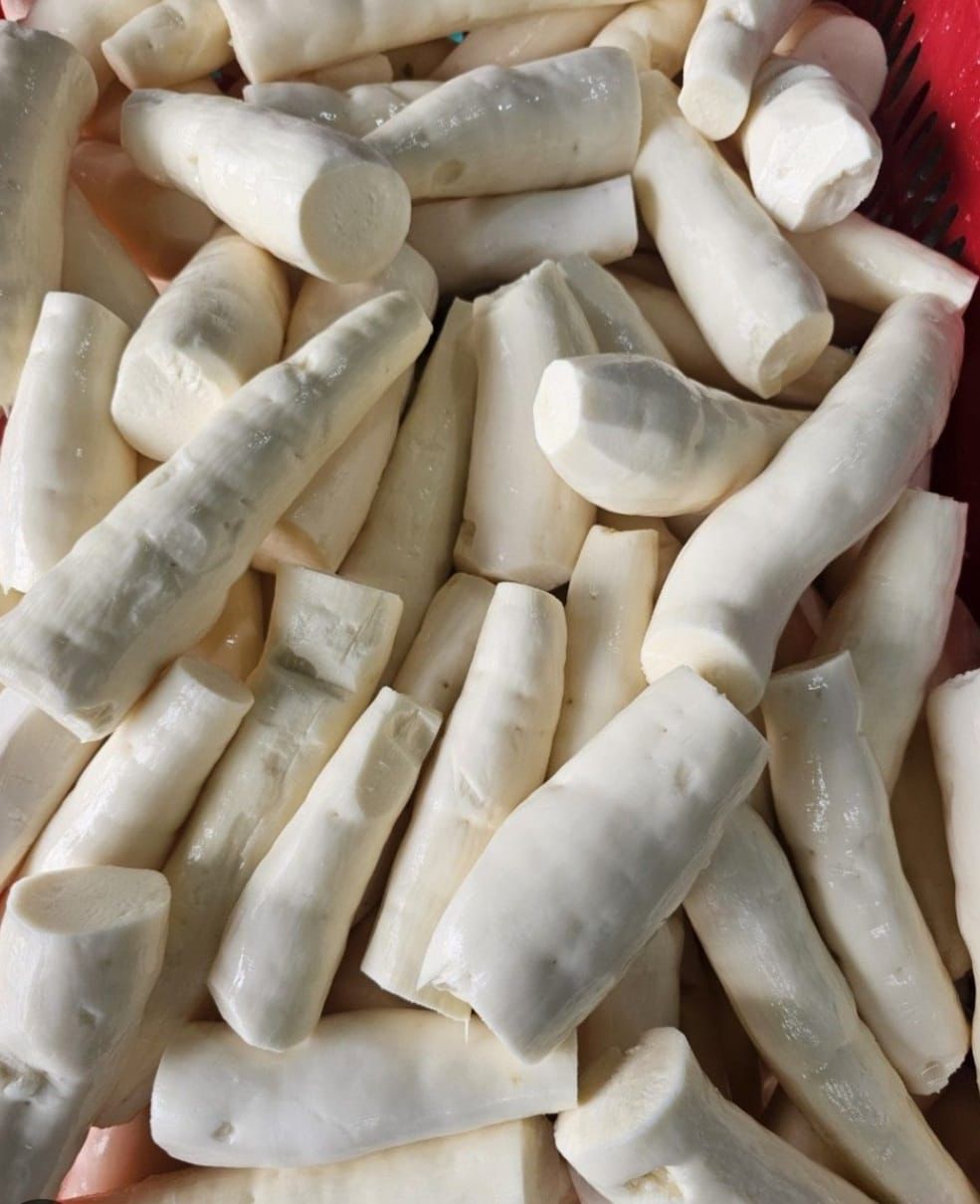 Frozen Peeled Cassava Tubers (Manioc / Yuca)