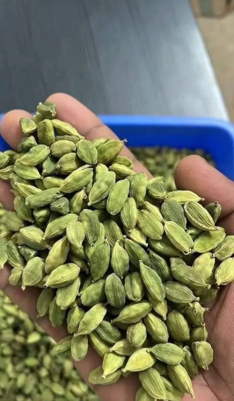 Premium Green Cardamom Pods 8mm+