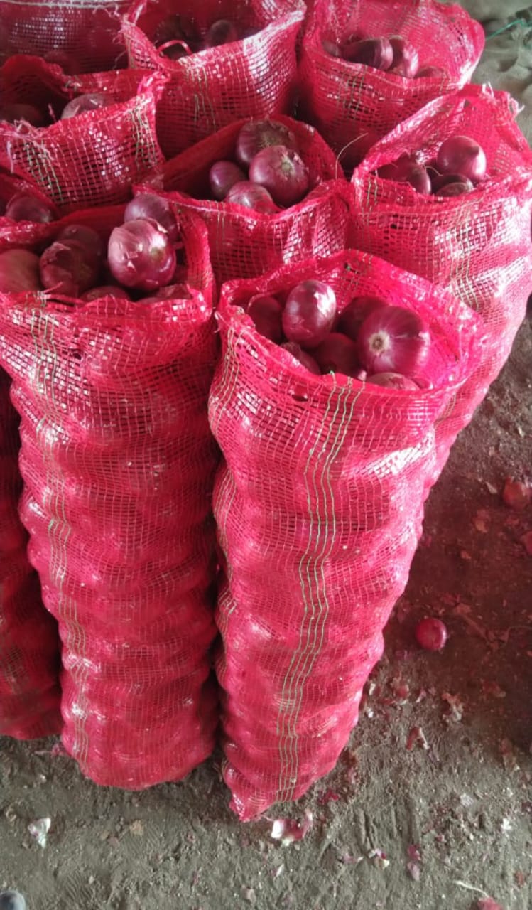 Fresh Red Onions — Mesh Bags Export