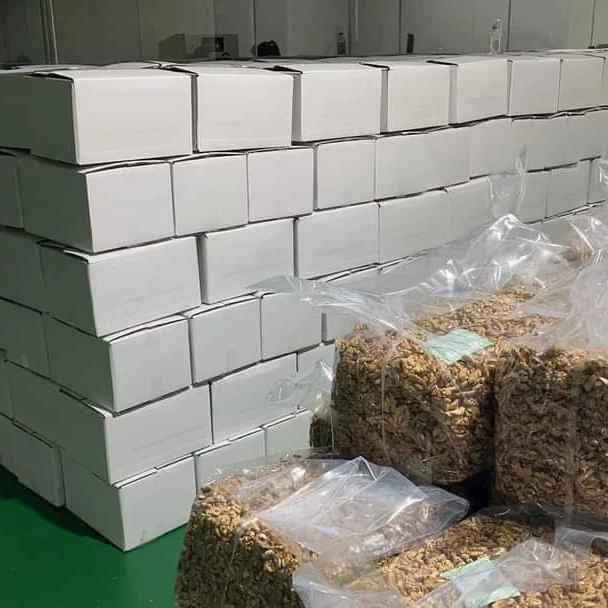 Walnut Kernels — White Retail Boxes