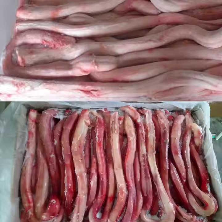 Frozen Beef Bung & Weasand Meat