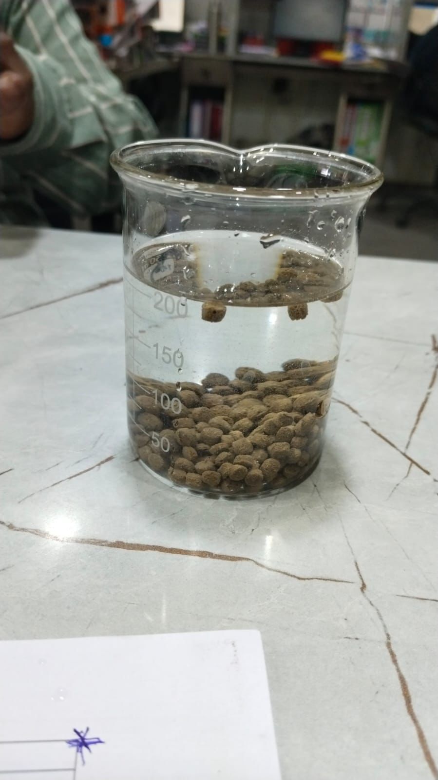 Floating Fish Feed Pellets — Tilapia & Catfish 32% Protein