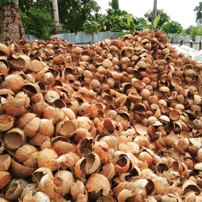 Raw Coconut Shells — Bulk Yard Stock
