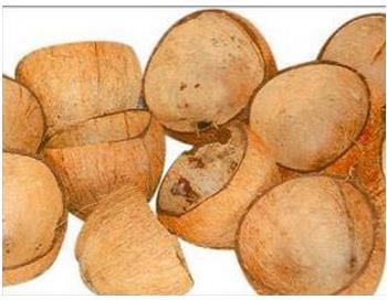 Coconut Shells — Clean Half-Cut