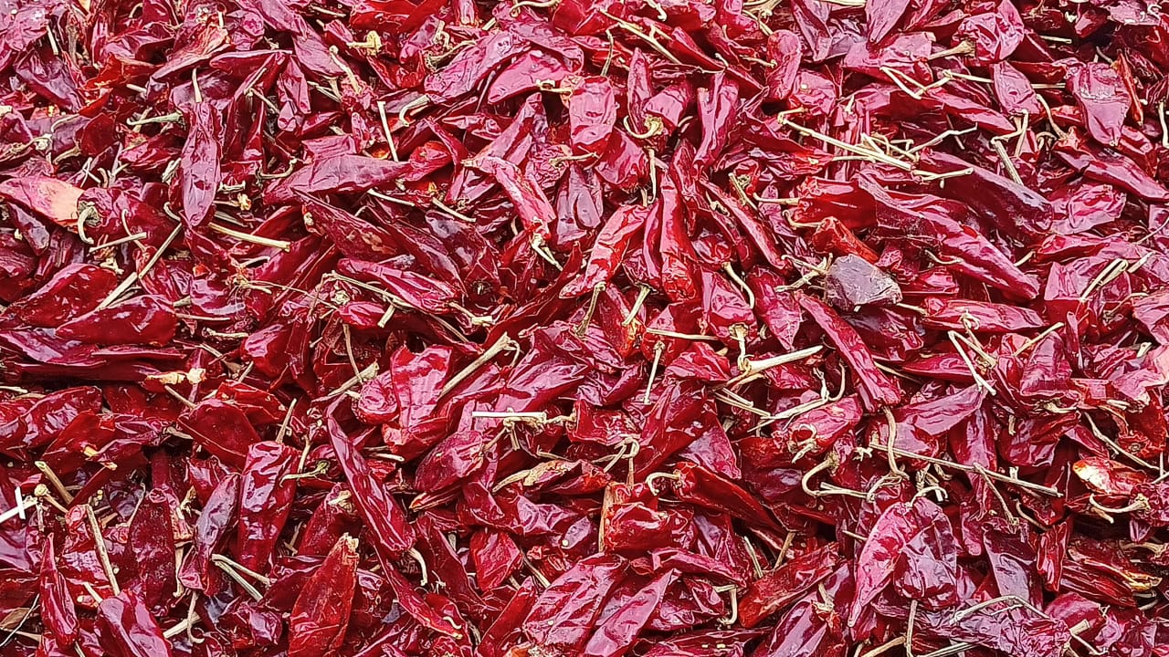 Sun-Dried Red Chillies (Stem-On) — Bulk Spread