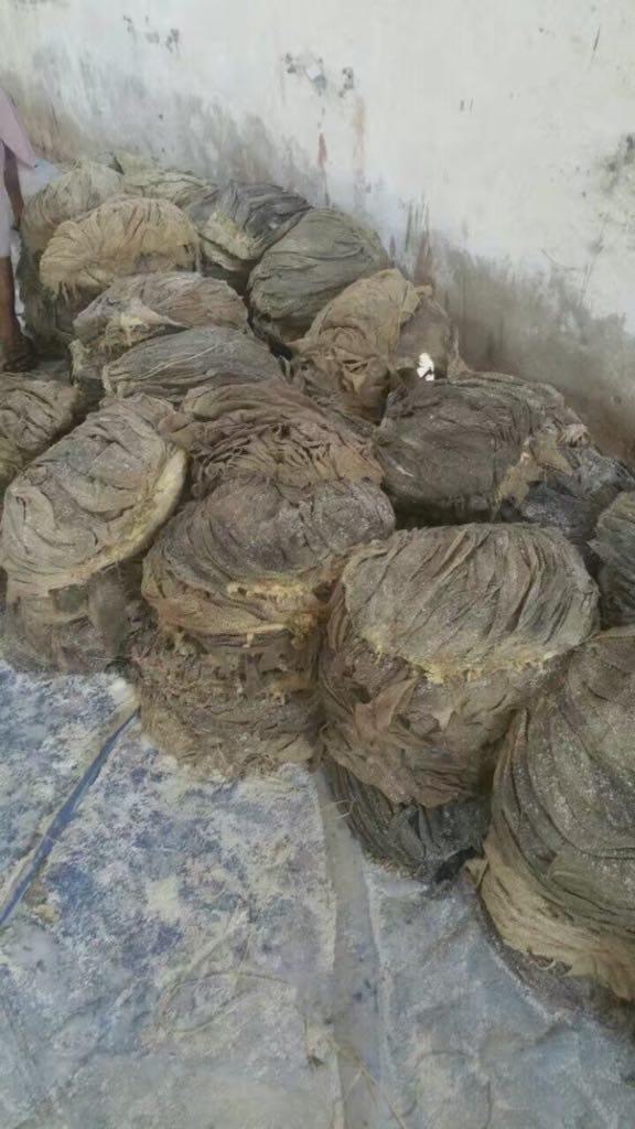 Natural Salted Sheep / Hog Sausage Casings — Bales