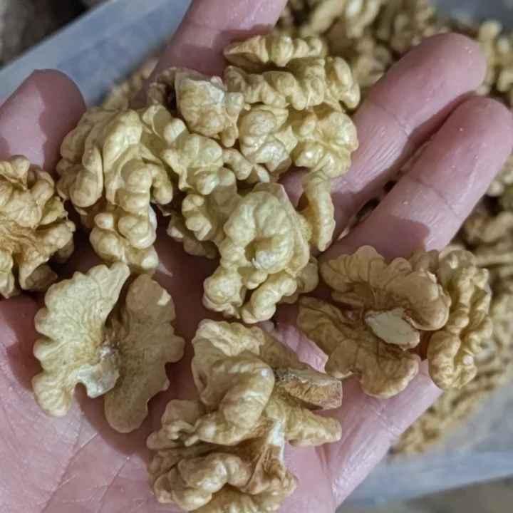 Walnut Kernels — Extra Light Halves