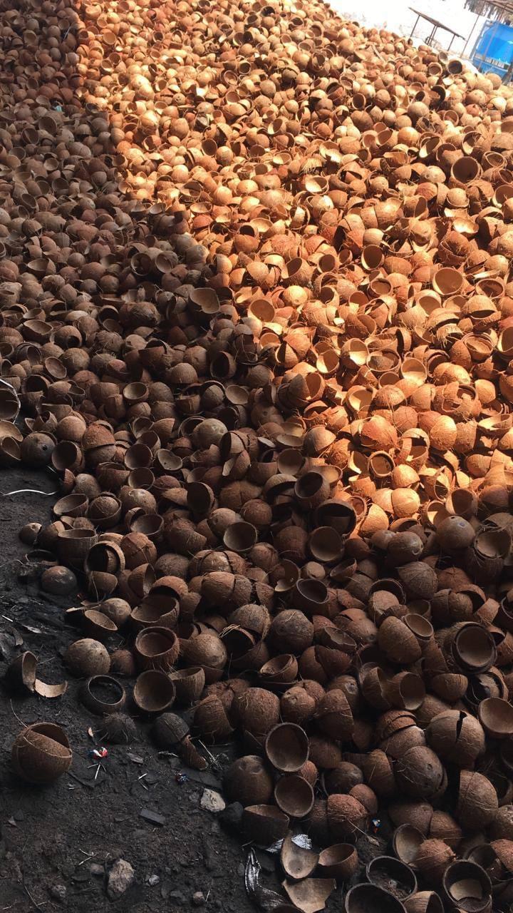 Coconut Shells — Container Warehouse Lot