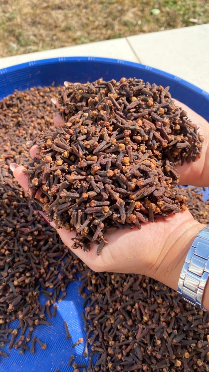 Whole Cloves — Premium Hand-Picked (Madagascar / Zanzibar)