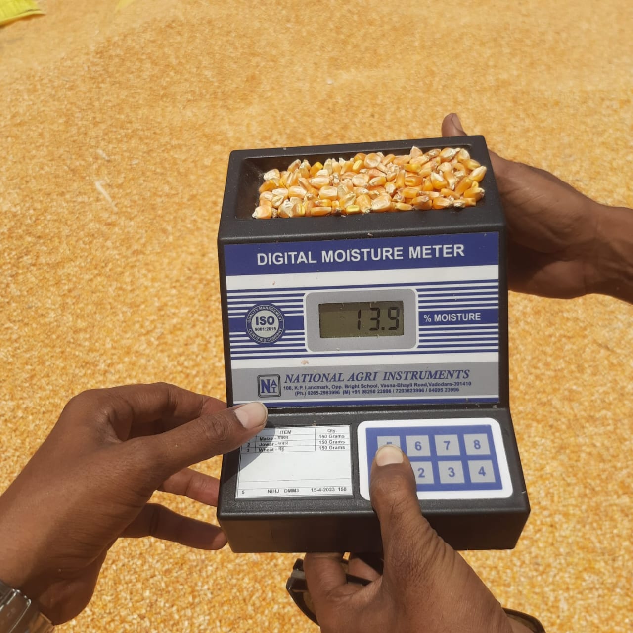 Yellow Maize Feed Grade — Moisture Tested 13.9%