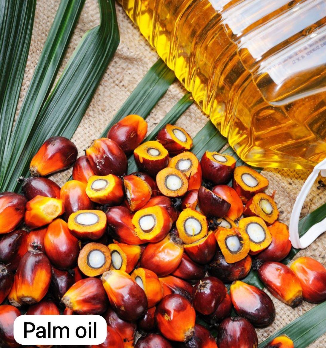RBD Palm Oil CP10 — Flexitank / IBC