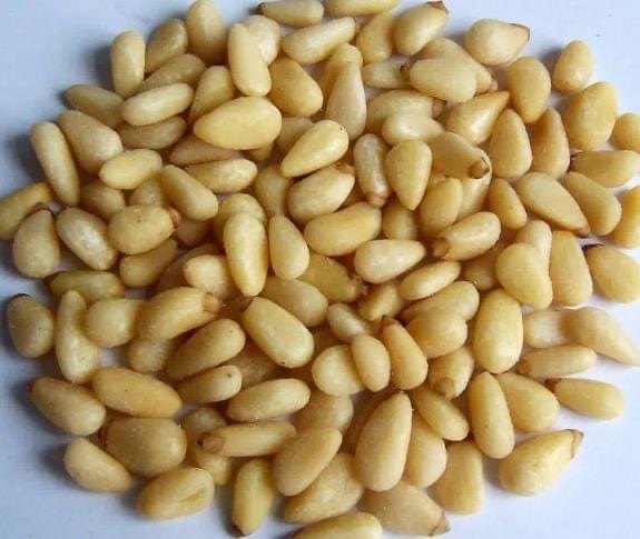Pine Nuts — Premium Kernels