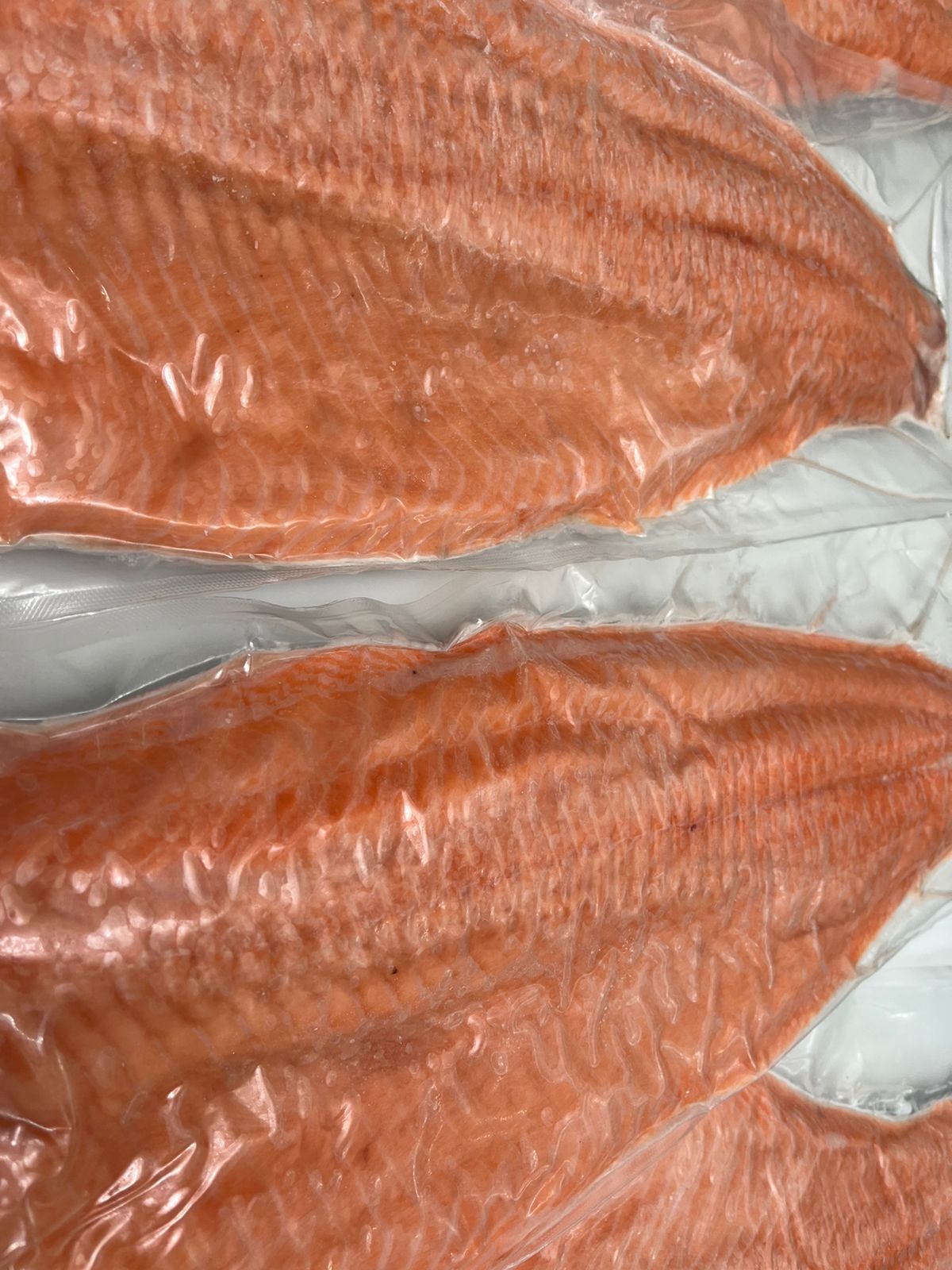 Atlantic Salmon (Salmo salar) — Whole Round H/G/T