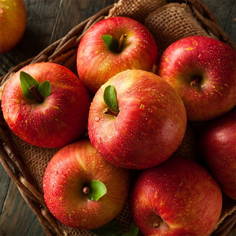 Fresh Fuji Apples (Premium)