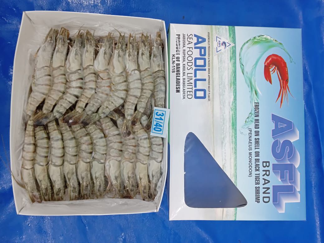 Black Tiger Shrimp HOSO (Penaeus monodon) — Frozen Block