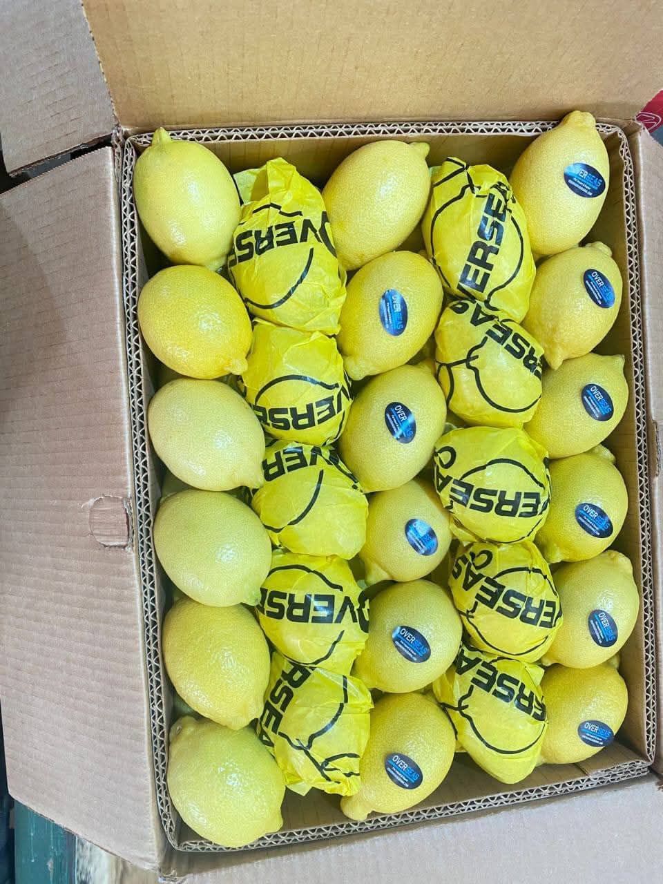 Fresh Lemons — Export Grade, Tissue-Wrapped Cartons